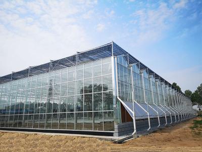 Vegetable cultivation glass greenhouse