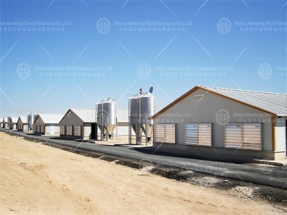 Steel chicken house exports to Algeria