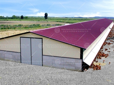 steel structure chicken house