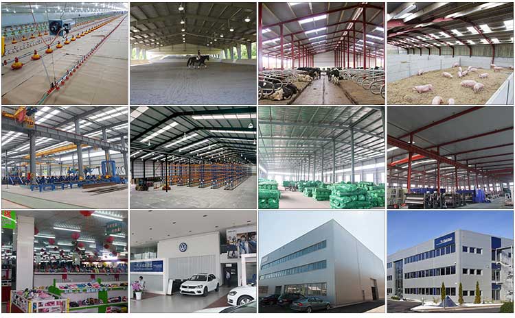 Steel structure poultry house