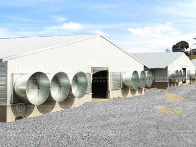 steel structure chicken house