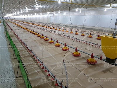 Economical Chicken House