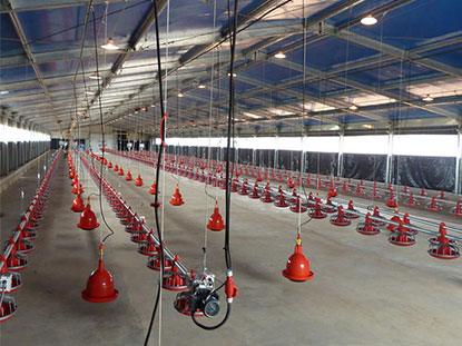 3 sets of square tube chicken house---Philippines