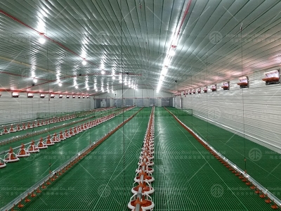 High-Quality Chicken House