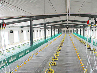 Philippine Steel Structure Chicken Coop