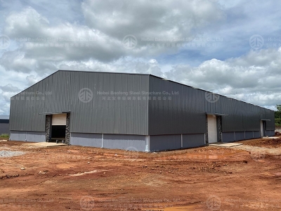 steel structure building