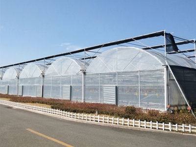 greenhouse