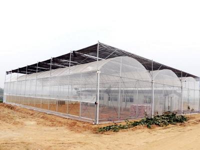 greenhouse factory