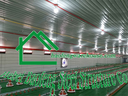 6 sets of steel structure chicken houses in the Philippines