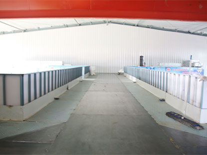 1 set of steel structure warehouse in the Philippines