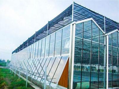 greenhouse