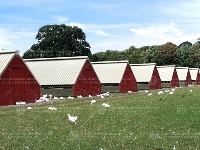 steel structure chicken house
