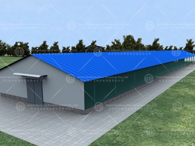 steel structure chicken house
