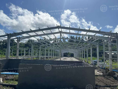 Galvanized Chicken House Build In Philippines