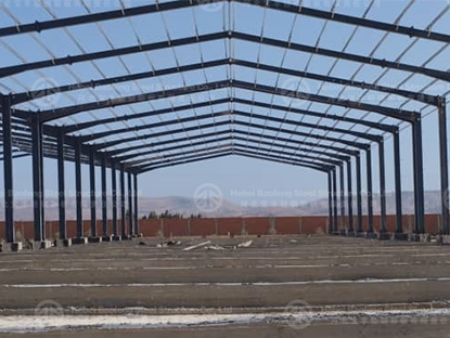 4800 Square Meter Steel Warehouse In Algeria
