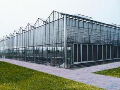 greenhouse