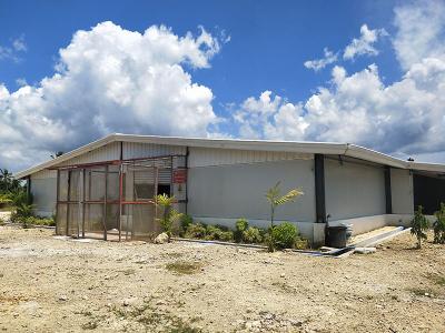 Layer chicken house design