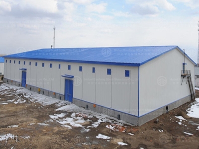 steel structure building