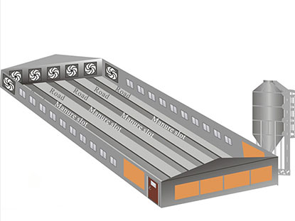 Philippine steel structure square tube chicken house