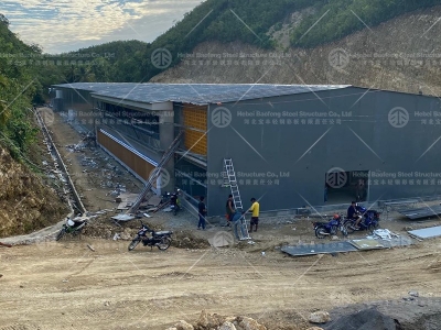 Chicken house design