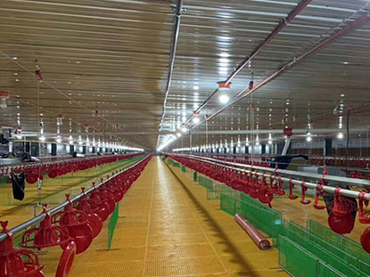 1 set of Philippine steel structure chicken coop