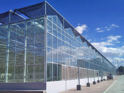 Multi-span film greenhouses
