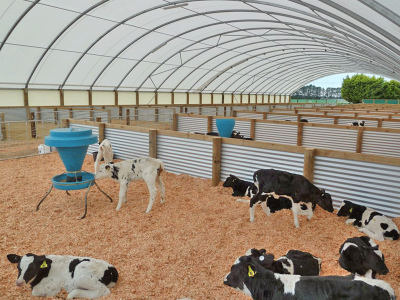 steel structure shed