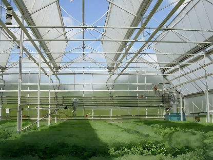 Greenhouse Temperature Control Techniques